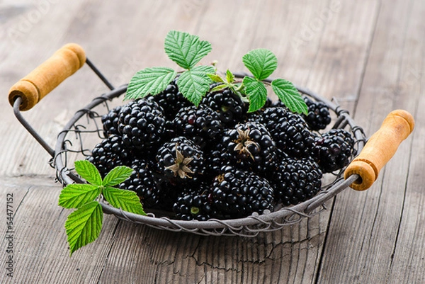 Obraz Brombeeren