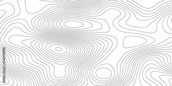 Fototapeta Topographic contour map. Vector cartography illustration. Topography and geography map grid abstract backdrop. Business concept. Fish Fillet Texture, Salmon fillet texture, fish pattern. paper texture