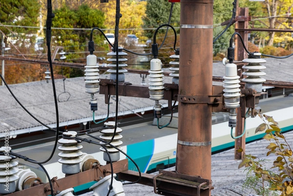 Obraz 電柱　がいし