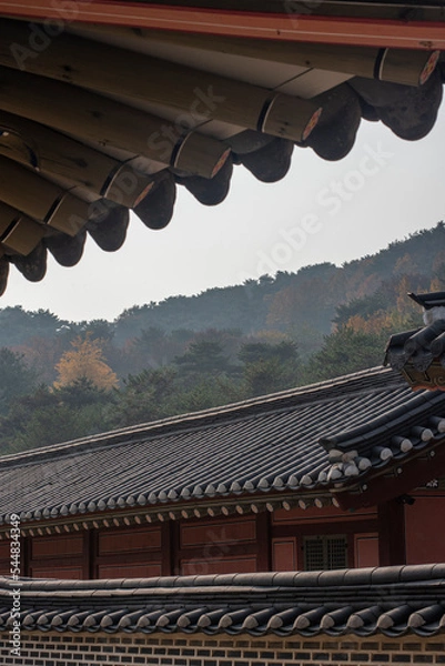 Fototapeta 한국의 풍경 화성행궁 성곽의길 