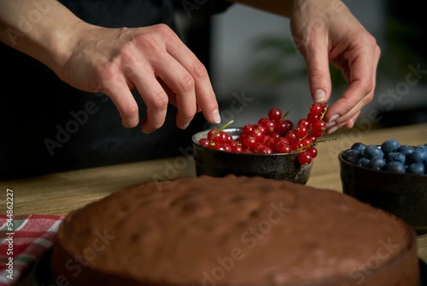 Fototapeta Woman with a passion for cooking decorates a slice of handmade chocolate cake in her home kitchen with blackberries and red currants.