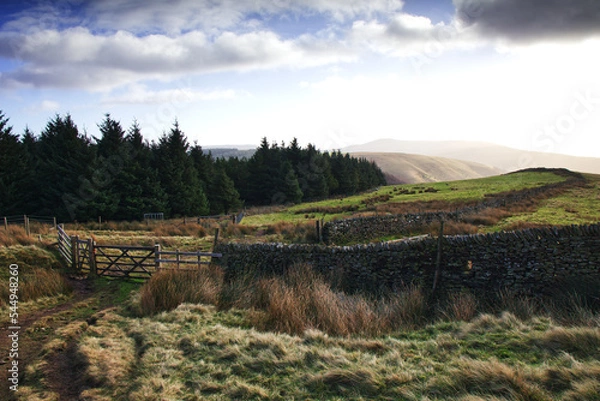 Fototapeta Peak District landscape