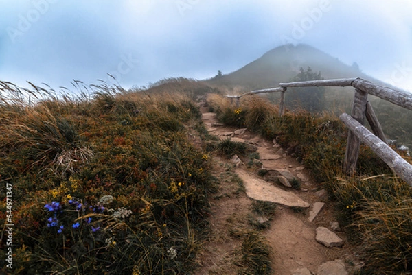 Obraz Górski szlak we mgle prowadzący na Halicz, Bieszczady, Polska