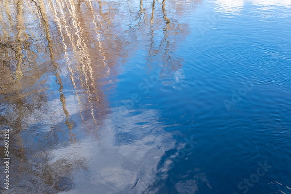 Fototapeta Beautiful reflection of nature, trees in water. Spring atmosphere, sun and blue sky reflection outdoors. 