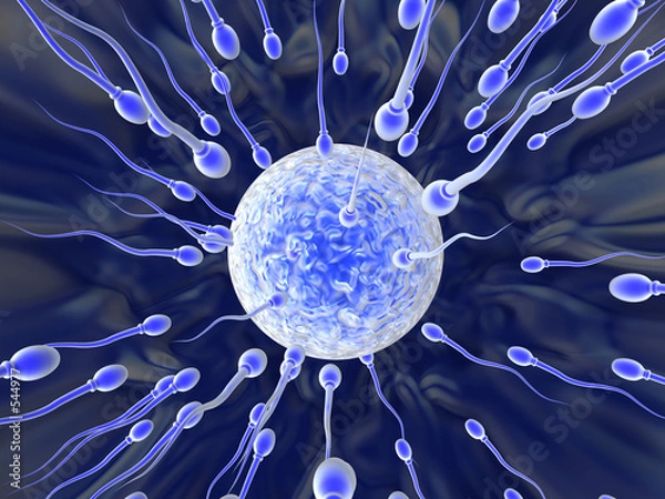 Obraz sperm attack 2