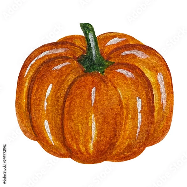 Fototapeta Small autumn pumpkin. Festival of vegetables and harvest
Watercolor clipart illustration. Tools: watercolor, Adobe Photoshop, Illustrator.