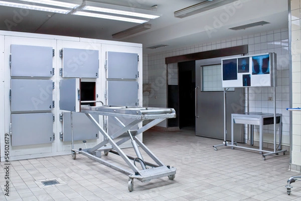 Fototapeta Grungy and high contrast photo of morgue trays