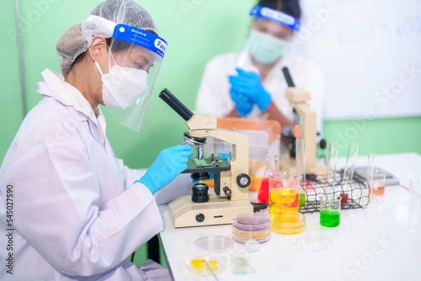 Fototapeta Modern Medical Research Laboratory: Stem cell researcher working in laboratory Study on Stem Cells on the Stereo microscope view in laboratory , Advanced Scientific Lab for Medicine, Biotechnology.
