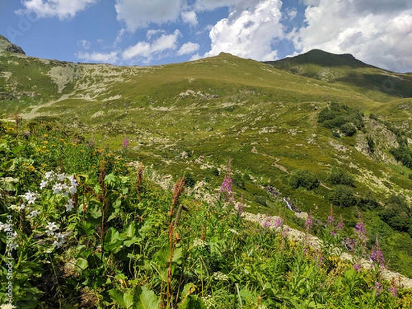 Fototapeta Beautiful view of the landscape of the Caucasus Mountains against the background of the sky with clouds. Meadow flowers grow on the slope of the mountain. Nature concept. Arkhyz, Caucasus, Russia