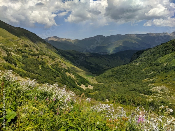 Fototapeta Beautiful view of the landscape of the Caucasus Mountains against the background of the sky with clouds. Landscape of mountain green hills. Meadow flowers. Arkhyz, Karachay-Cherkessia, Russia