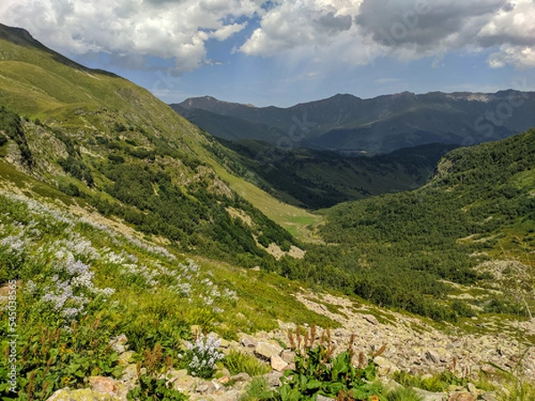 Fototapeta Beautiful view of the landscape of the Caucasus Mountains against the background of the sky with clouds. Landscape of mountain green hills. Meadow flowers. Nature concept. Arkhyz, Russia