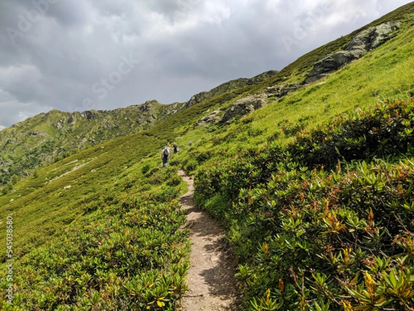 Fototapeta Arkhyz, Russia - August 22, 2022: Beautiful view of the landscape of the Caucasus Mountains against the background of the sky with clouds. People walk up the path to the top. Nature concept
