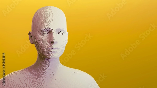 Obraz Voxel game or virtual reality engine. 3d illustration. Abstract human from voxels. 