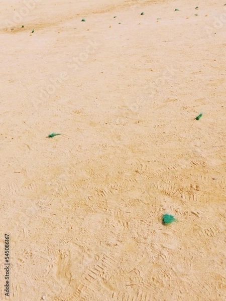 Fototapeta 모래 운동장