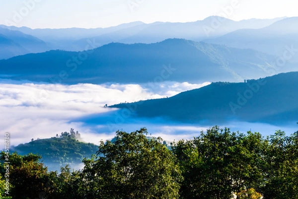 Fototapeta Sea of fog at Mon Kiew Lom, Mae Moei National Park, Tak Province, Thailand.