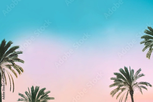 Fototapeta Palm trees on soft blue and pink color sunset sky with space for text. Travel and tropical vacation concept background