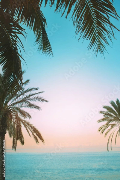 Fototapeta Palm leaves on sunset sky background and blue ocean water. Travel and tropical vacation concept photo in retro colors with space for text. 
