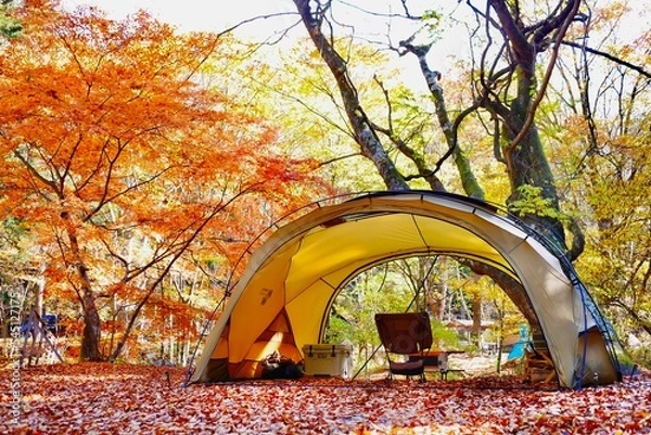 Fototapeta fall in the park