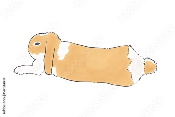 Obraz リラックスして寝転ぶリアルなかわいいうさぎ