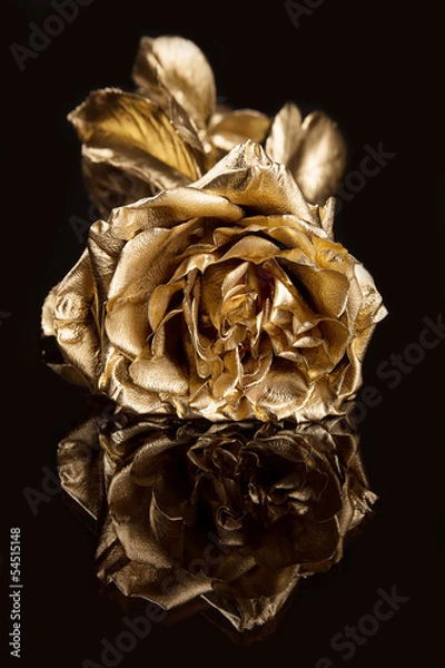 Obraz Golden rose against a dark background with reflection