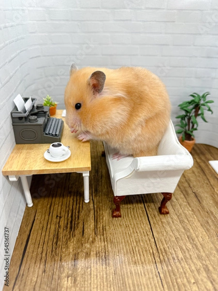 Fototapeta Cute Syrian hamster working at a desk on an old fashioned typewriter 