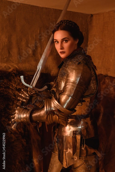 Obraz Lady knight in armour