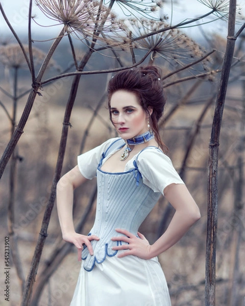 Fototapeta Rococo lady