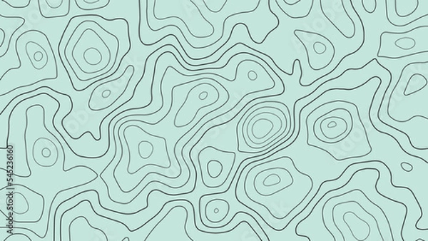 Fototapeta Abstract topographic contour line pattern solid background vector map.