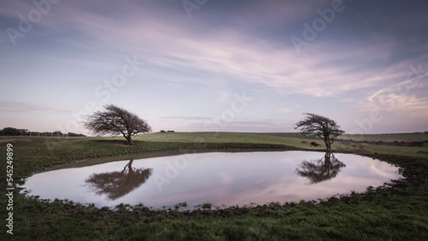 Fototapeta Dew Pond, Trees