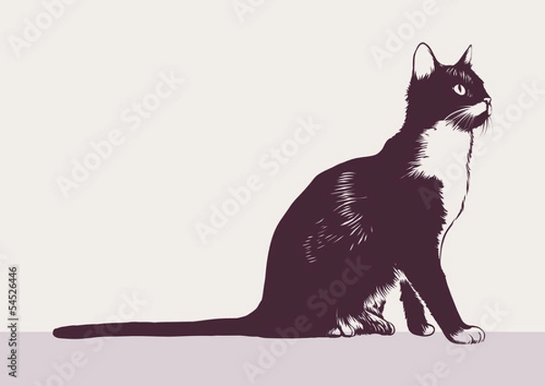 Obraz Black-white cat