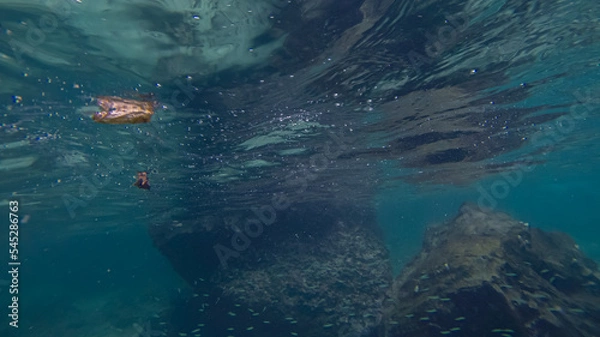 Fototapeta Panoramic scene under water and blue background