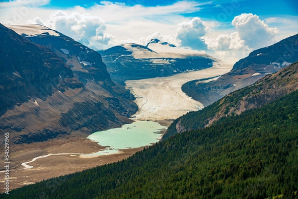 Obraz Saskatchewan Glacier and Castleguard Peak from above Parker Ridge