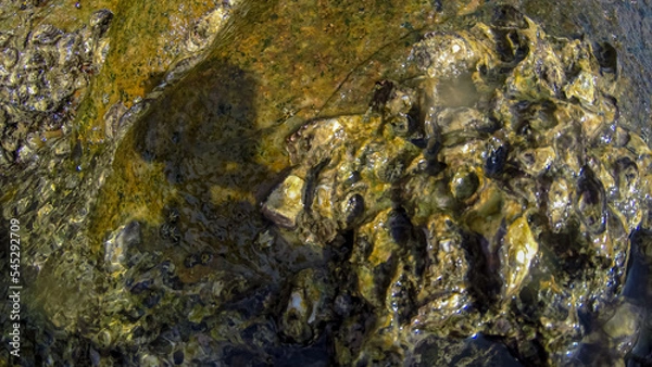 Fototapeta Panoramic scene under water and blue background