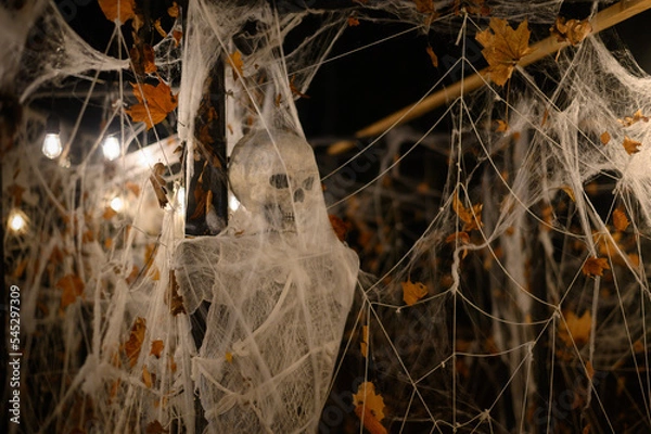 Fototapeta Skeleton decoration for Halloween wrapped in spider web and tissue