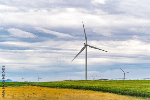 Fototapeta Wind turbines and agricultural field on a summer day in Idaho.