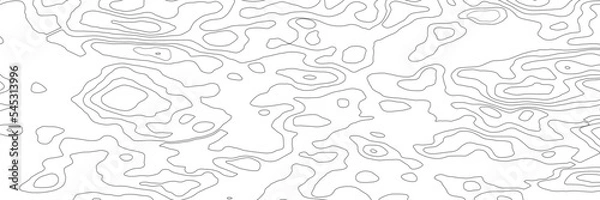 Fototapeta Light topographic topo contour map background, vector illustration