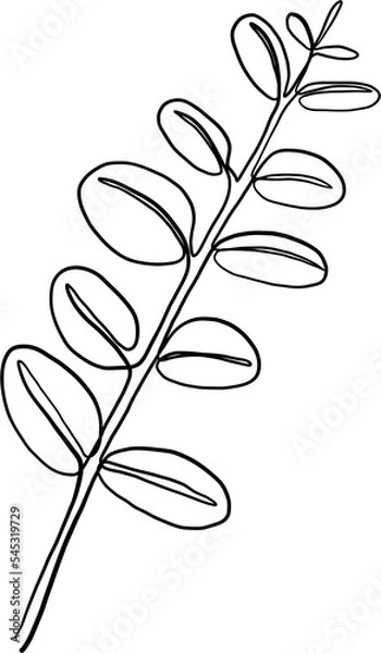 Obraz simplicity floral freehand continuous line drawing