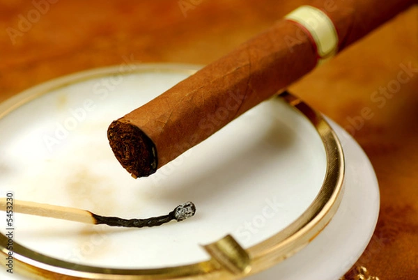 Obraz Cigarre1