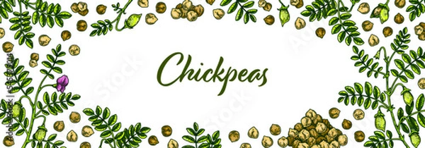 Obraz Colorful horizontal chickpeas design. Hand drawn illustration in colored sketch style. Botany design for packaging, label, banner, poster