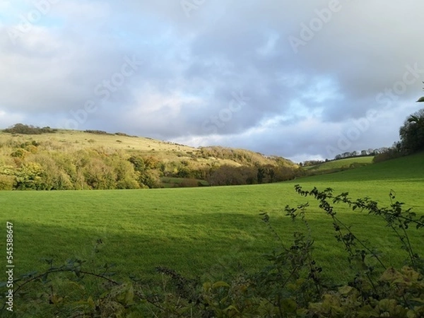 Obraz green field and sky
