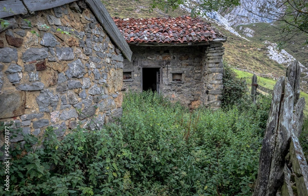 Obraz abandoned house weeds mountain