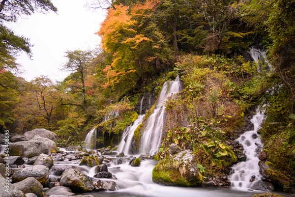 Fototapeta 清里　吐竜の滝