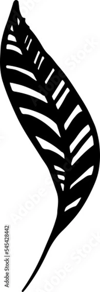 Obraz Doodle Feather