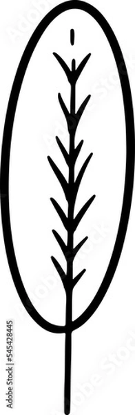 Obraz Doodle Feather