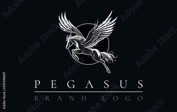 Obraz Pegasus Vector Logo Template, Pegasus shape design