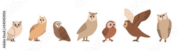 Obraz Owls set, cute funny birds. Minimal art style, smart cartoon character. 
