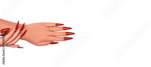 Fototapeta Female hands with red stiletto nails design. Glitter red nail polish manicure. Female hands with stiletto nails design on transparent background. PNG. Copy space. Place for text.