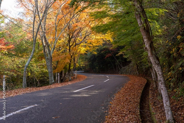 Obraz 日本の香川県小豆島のとても美しい秋の紅葉
