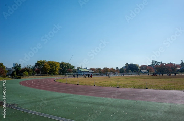 Fototapeta 東京の和田堀公園