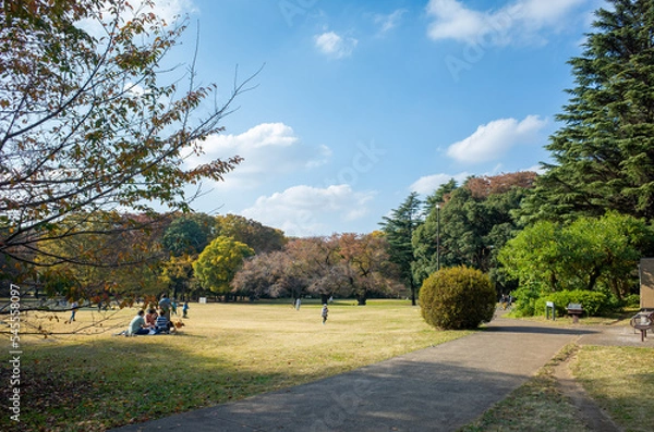 Obraz 東京都立・砧公園